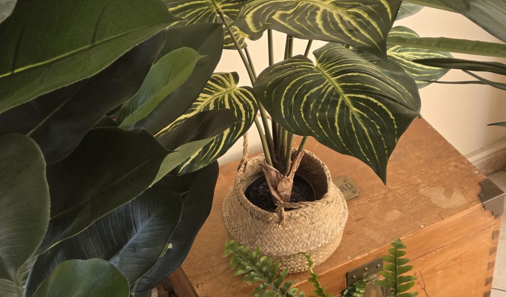 Plantes artificielles dans le salon : comment créer un décor naturel ?